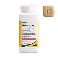 Rimadyl chewable
