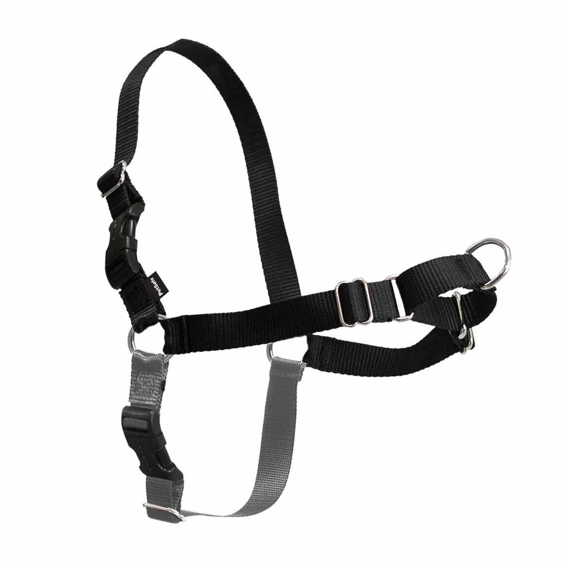 Easy Walk Harness