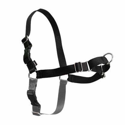 Easy Walk Harness