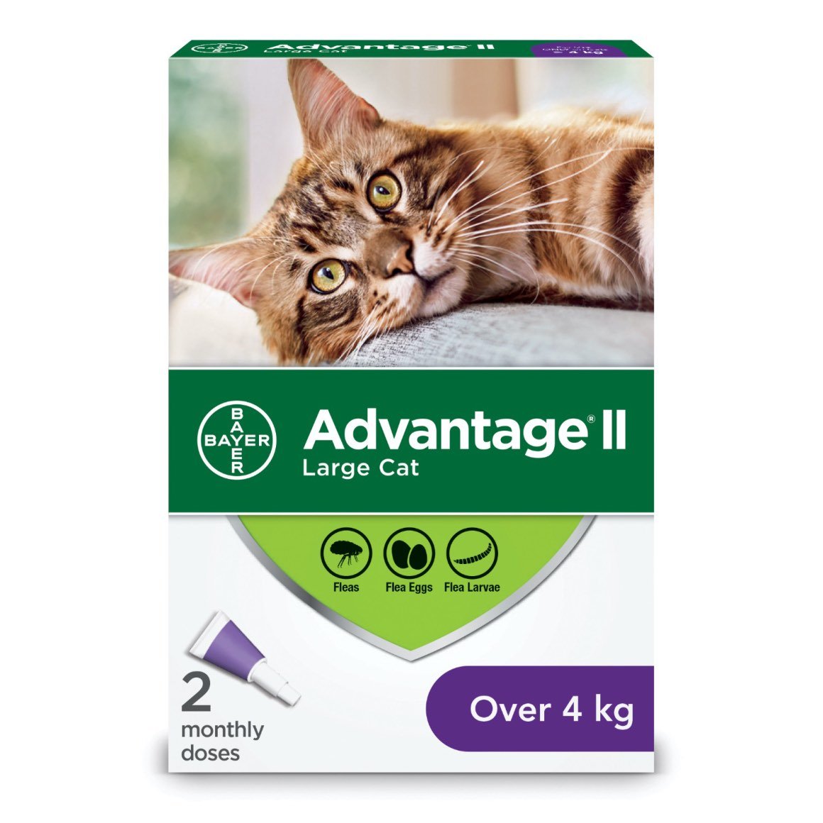 Advantage II for Cats
