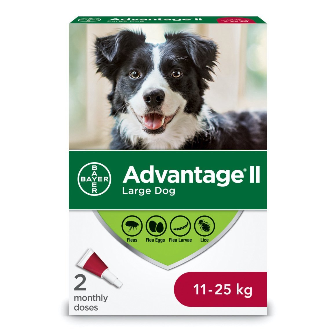 Advantage II for Dogs