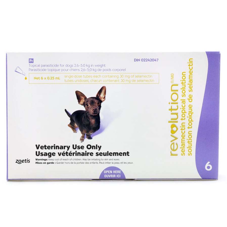 Revolution for Dog