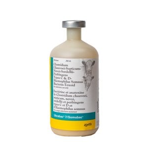 Ultrabac 7/Somubac